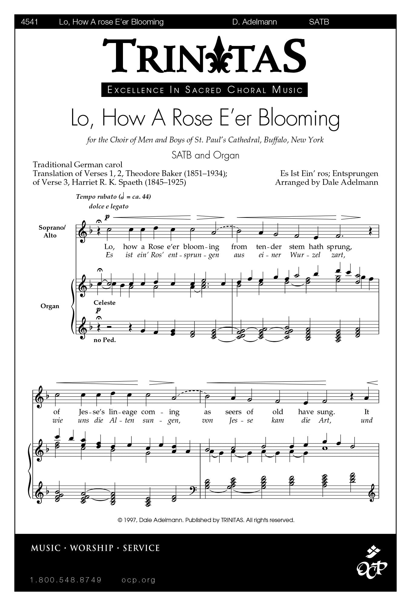 Lo, How a Rose E'er Blooming