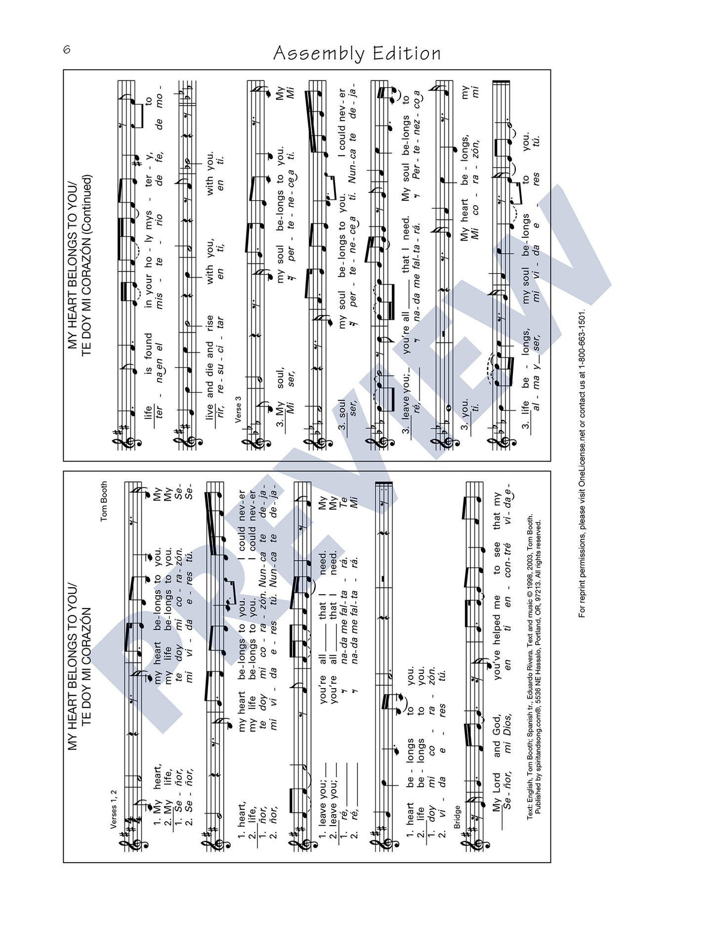 My Heart Belongs to You/Te Doy Mi Corazón