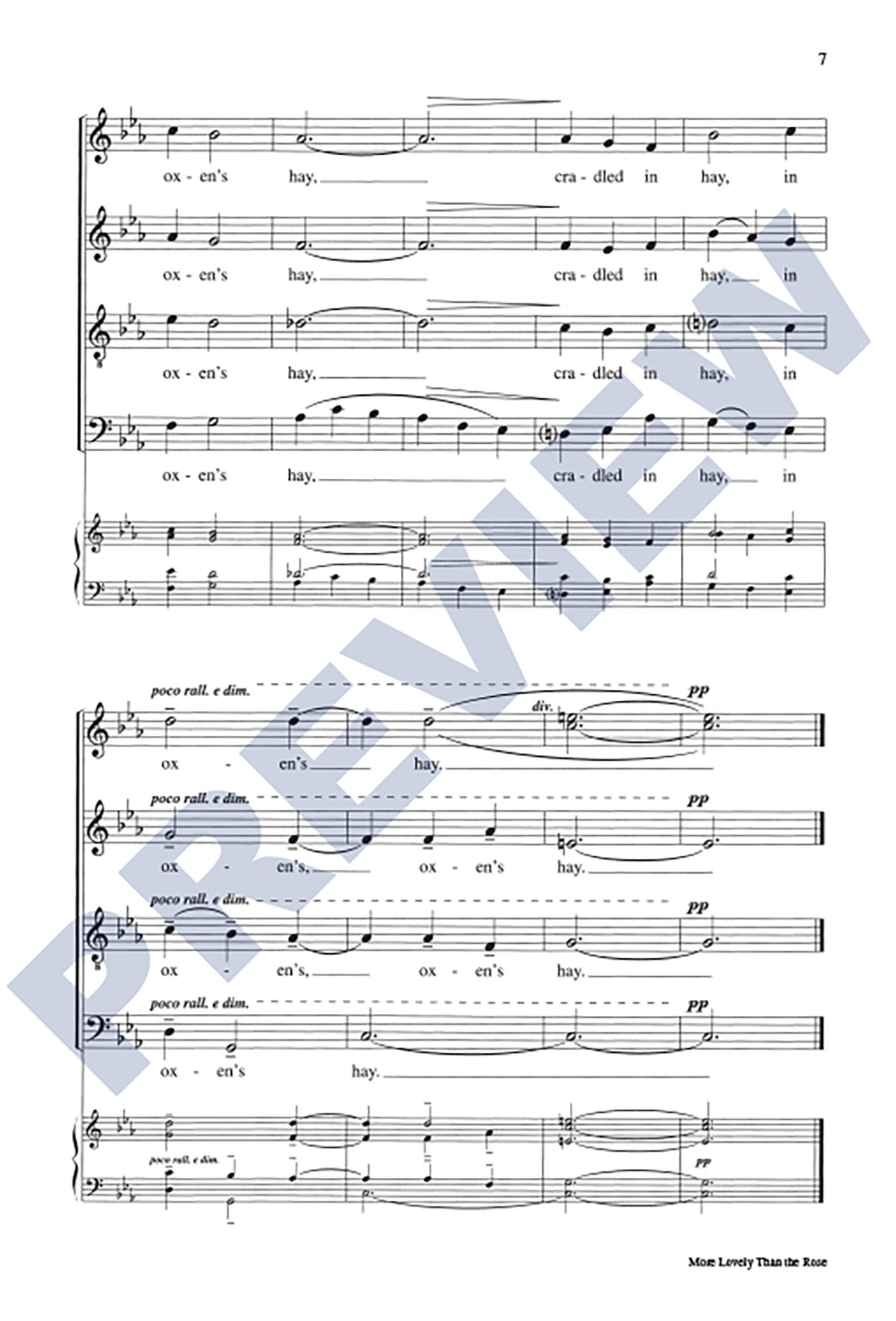 More Lovely Than the Rose