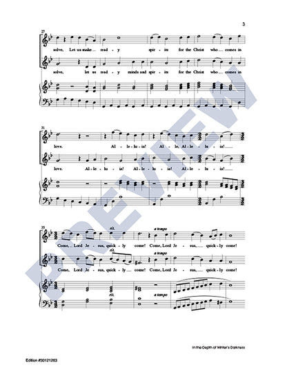 In the Depth of Winter's Darkness