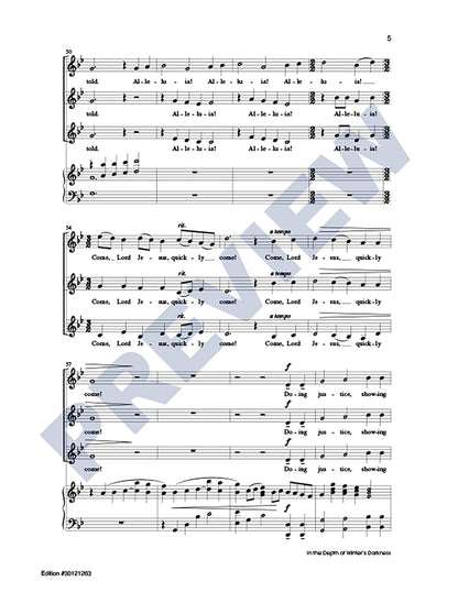 In the Depth of Winter's Darkness