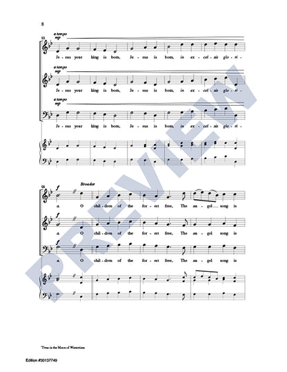 'Twas in the Moon of Wintertime