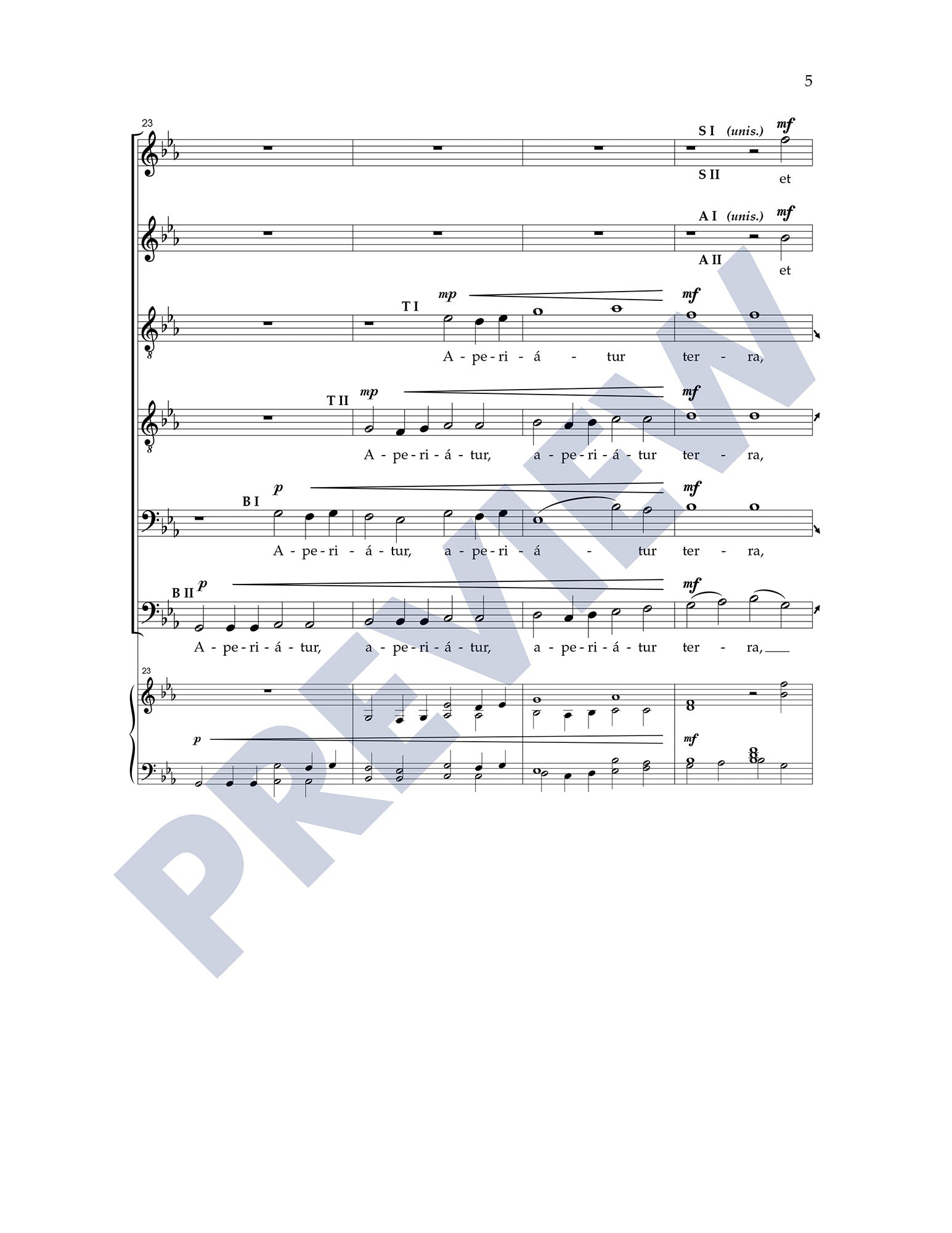 Rorate Caeli