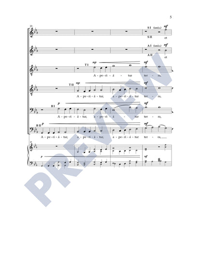 Rorate Caeli