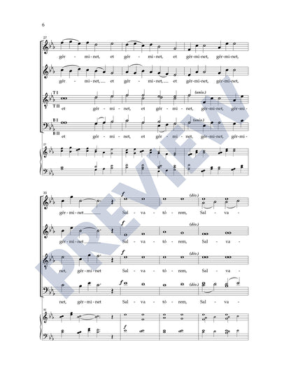 Rorate Caeli
