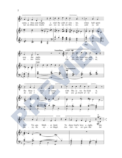 Lo, How a Rose E'er Blooming