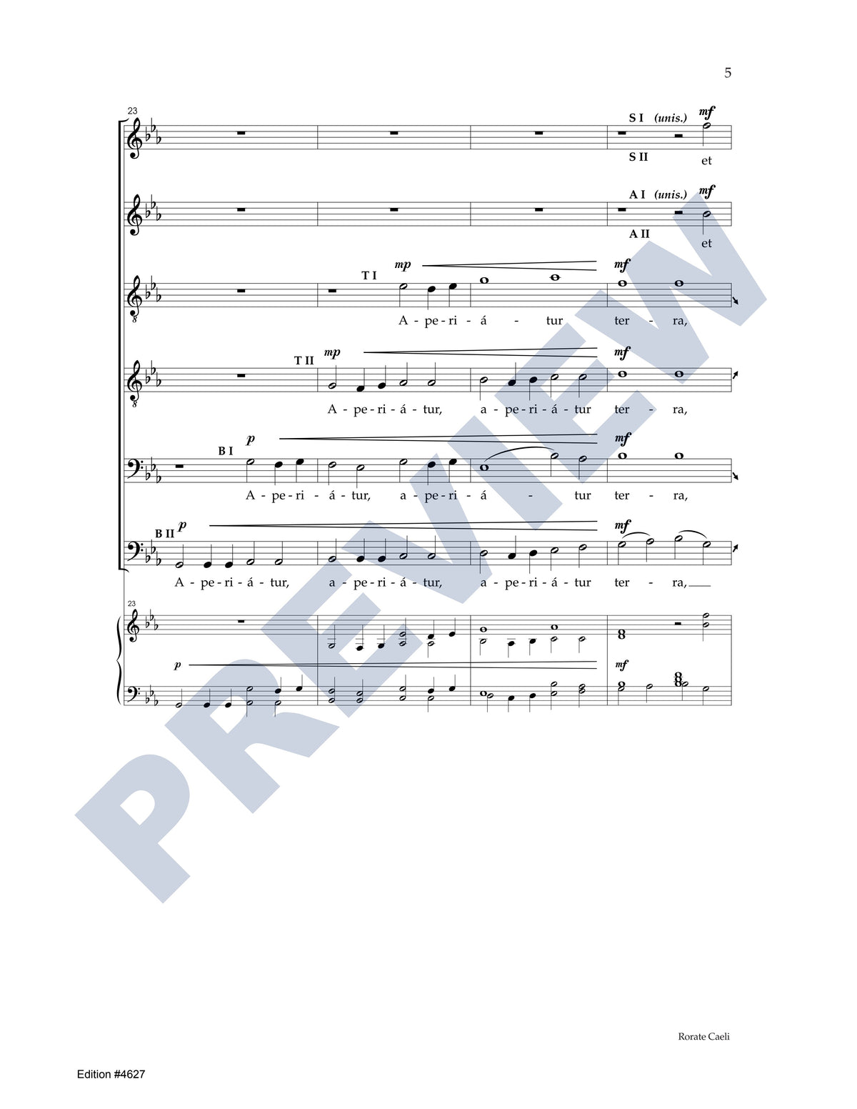 Rorate Caeli