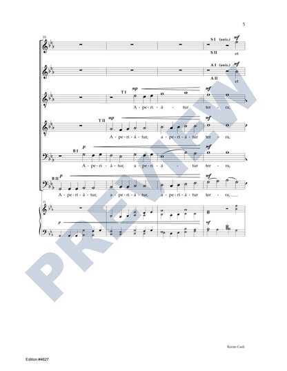Rorate Caeli